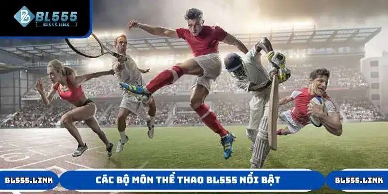 Khám phá các bộ môn nổi bật trong chuyên mục thể thao BL555