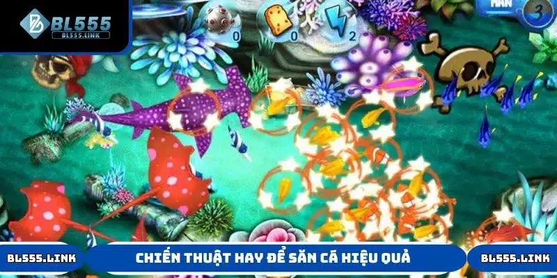 Tổng hợp các chiến thuật hay để săn cá hiệu quả từ BL555